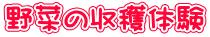 ��؂̎��n�̌�